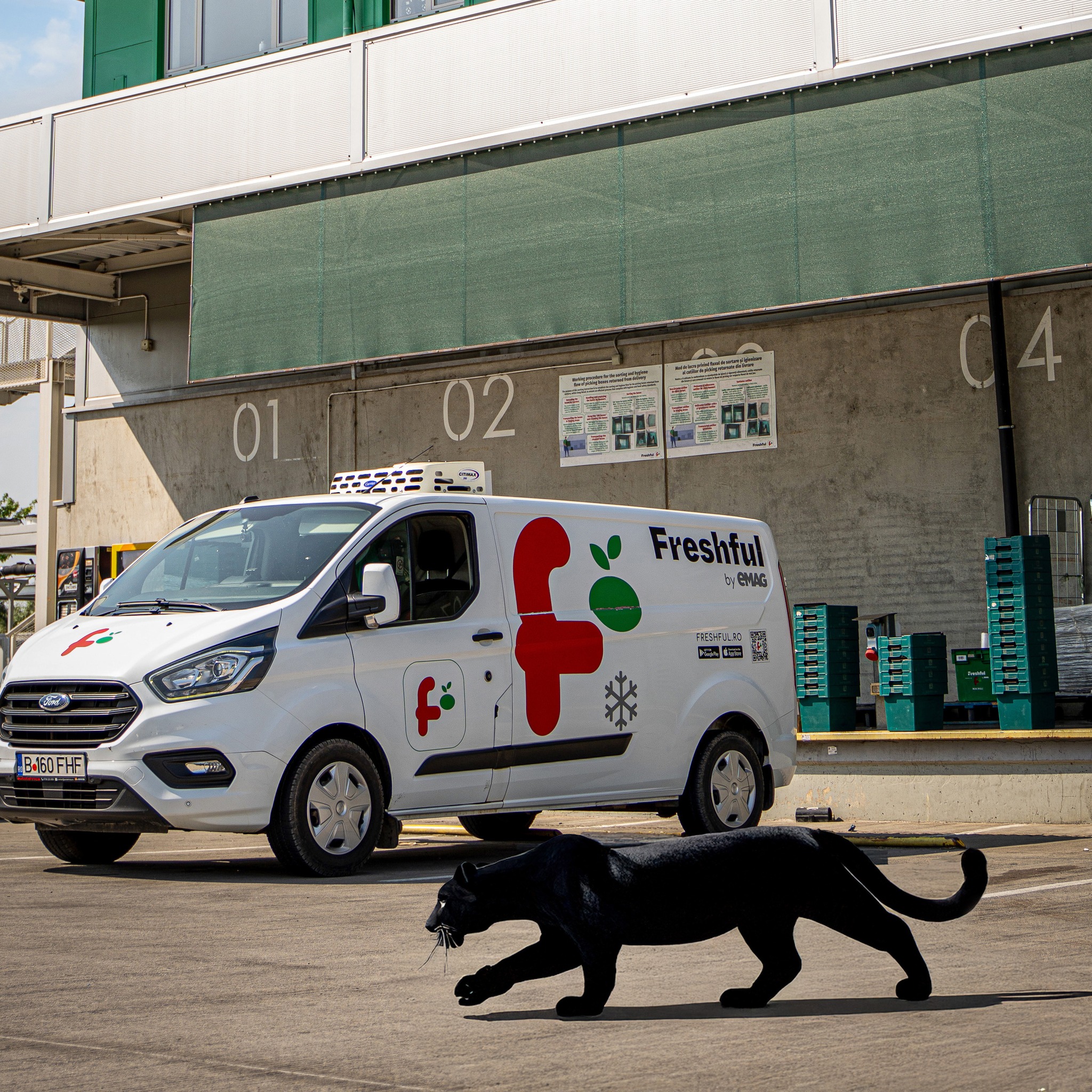 VIDEO | Pantera neagră fugită din Bulgaria umblă în voie prin tot Bucureștiul virtual. Prin parcări de supermarket, la probat costum negru, ba și după colet la EasyBox