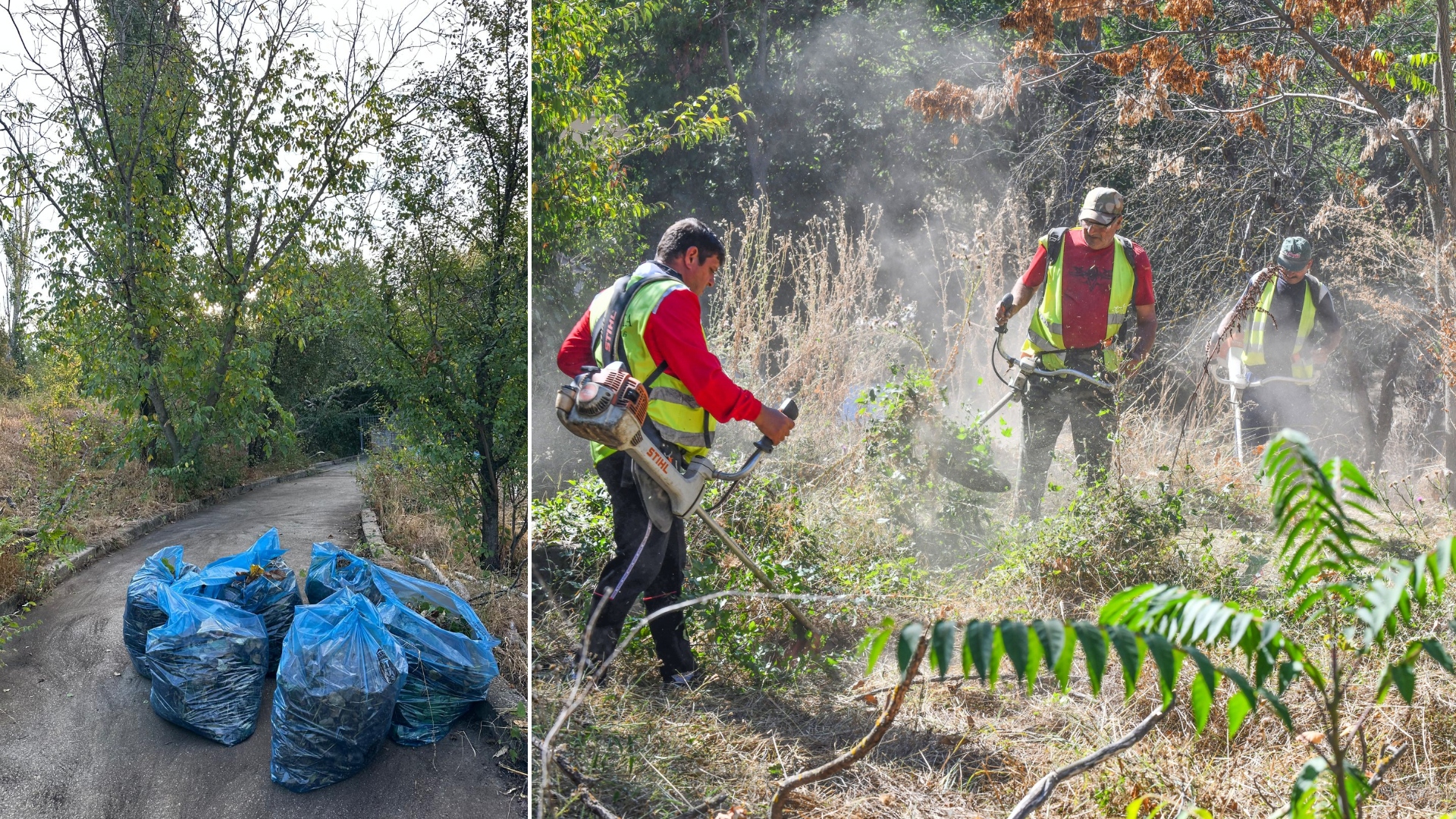 FOTO | 20 de tone de deșeuri, eliminate din Parcul Grozăvești. Lucrările de cosit și curățare continuă săptămâna aceasta în Sectorul 6.