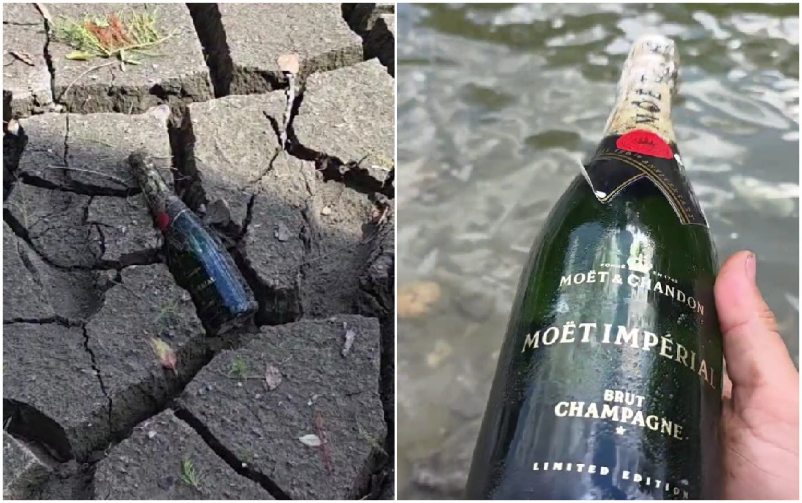 VIDEO 🍾 Din seria „ce mai găsim pe fundul Lacului Herăstrău”: după trotinete, scaune de restaurant și căști de război, cineva a găsit o sticlă de Moët Imperial