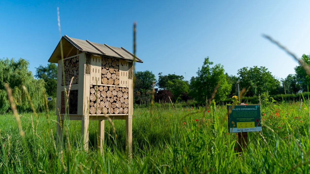 FOTO 🐝 Hotelul Albinuță e, de acum, casa vizitatorilor polenizatori ai Parcului Tineretului. Bondarii și gândăceii pot zumzăi, după bunul plac, prin cele 100 de camere