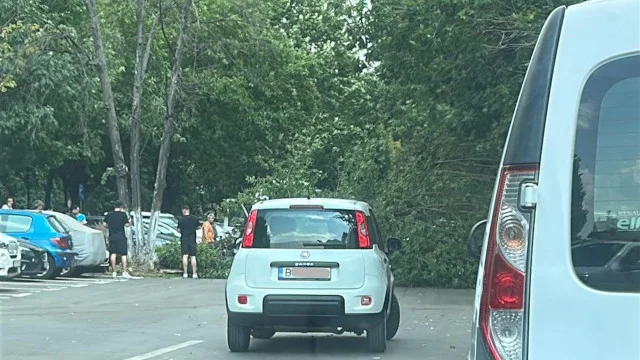 FOTO | Mai mulți copaci au fost doborâți de vânt pe străzile din București, în această după-amiază. Capitala este sub cod galben de instabilitate atmosferică