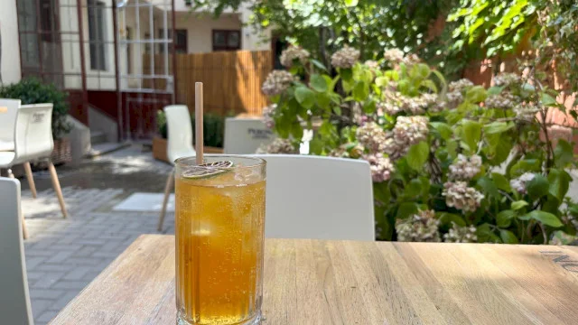 Superba grădină cu alune din alun bătrân, ascunsă lângă Parcul Izvor🐿️ Intri la Hazelcup Coffee, te minunezi, comanzi Iced Latte și viața are alt gust