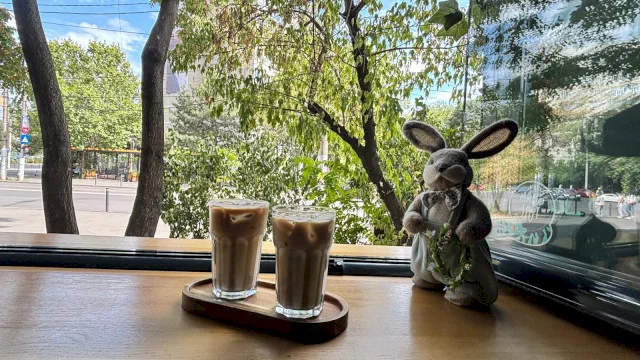 Jungla verde cu răsfăț, fix în bucla din Drumul Taberei. Mergi cu metroul până la stația Râul Doamnei, faci doi pași și dai de raiul Amazoniq Coffee Shop