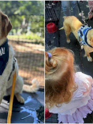 „Adoptă-mă”! 🐶 Corul celor 10 căței jucăuși care vor fi la un nou târg de adopții în Parcul Bazilescu, sâmbătă