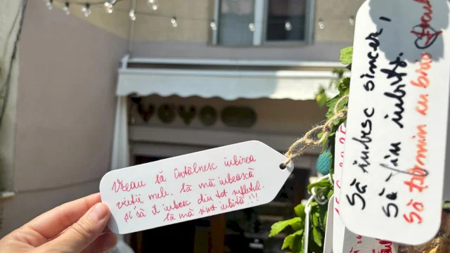 Copacul celor mai emoționante dorințe e în Cotroceni. La Yoyo Hidden Gem, cafeaua te răcorește și desertul te îndulcește