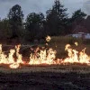 Bărbat reținut după ce a provocat un incendiu de vegetație, pe un teren de lângă Capitală. Au fost afectate 25 de hectare și o mașină a fost distrusă