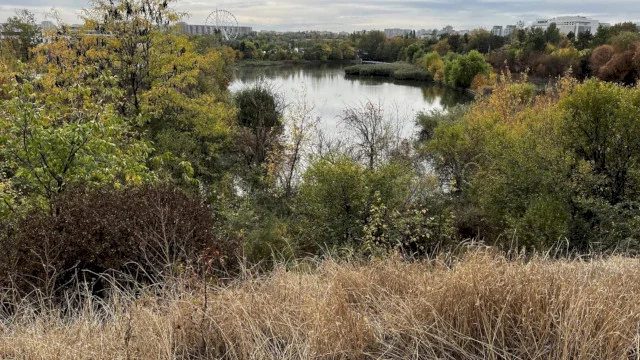 Voluntariat și picnic pe Pajiștea Petricani, în acest weekend. Bucureștenii vor ajuta la reamenajarea zonei și vor paticipa și la un scurt tur ghidat