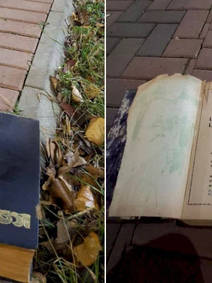 FOTO | Descoperire aproape arheologică în Titan, pe o bancă. Relicva era indispensabilă bucureștenilor dotați cu obiectul preistoric numit telefon fix: cartea de telefoane de la 1973