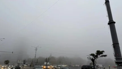Avertizare METEO | Cod galben de ceață și polei în București și alte 15 județe, anunță ANM. Vizibilitatea este redusă