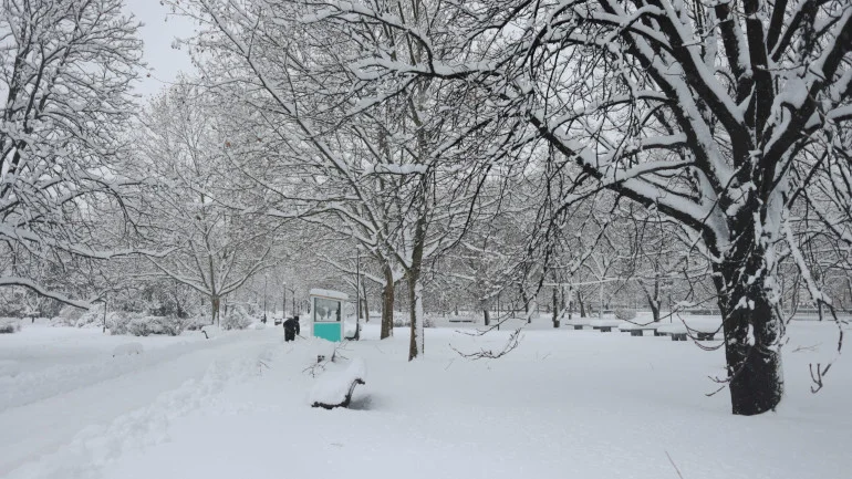 ESENȚIAL |  Încă o noapte de iarnă adevărată, cu ger, viscol și ninsori pentru care niciodată nu suntem pregătiți în București.  Codul galben, în prognoza pe ore