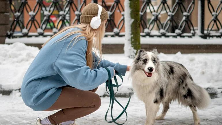 Primăria Sectorului 3, aspră către bucureștenii din S3: „Strânge după al tău Bobiță când îl scoți la plimbare!” Ce amenzi riscă stăpânii de câini care nu fac asta
