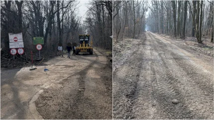 FOTO | Mai multe utilaje au intrat pe drumul forestier ilegal din Pădurea Băneasa, la o zi după ancheta la Romsilva. APNB acuză Federația Greenfield că vrea să-l asfalteze